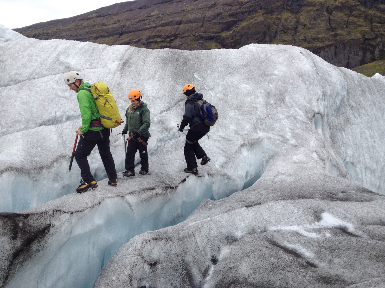 364 DSC08145b IMG 2484